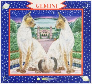 Gemini