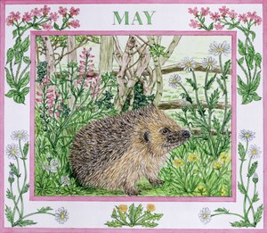 May