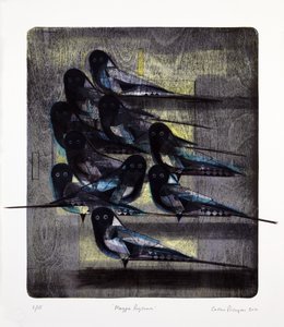 Magpie Rhythm