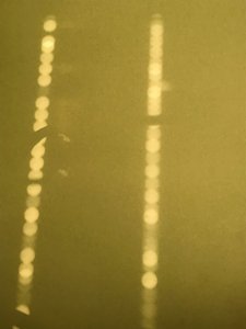 Composition - Light by Cécile Jamet
