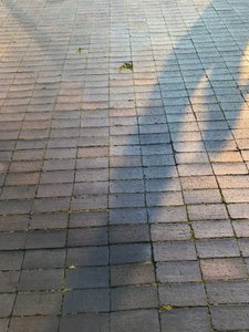 Composition - Light