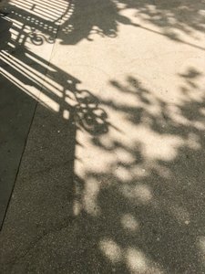 Composition - Shadows by Cécile Jamet