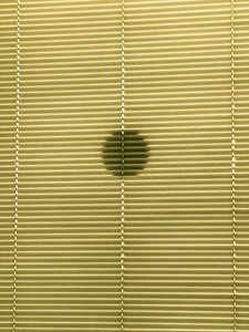 Composition - Shadows by Cécile Jamet