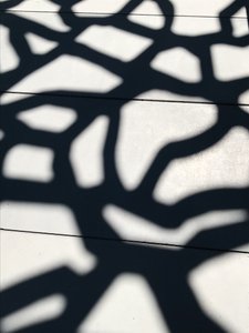 Composition - Shadows by Cécile Jamet
