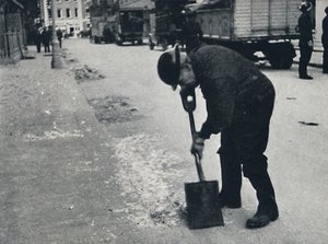 Collector of Old Glass