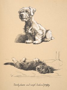 Sealyham and Rough Dachshund Puppy, 1930, Illustrations from His Sketch Book Used for Just Among Friends, Later Published by Eyre and Spottiswoode Limited, 1934 by Cecil Charles Windsor Aldin