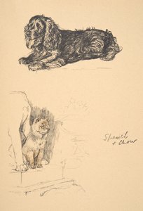 Spaniel and Chow, 1930, Illustrations from his Sketch Book used for Just Among Friends by Cecil Charles Windsor Aldin