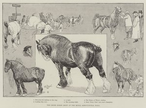 The Shire Horse Show at the Royal Agricultural Hall by Cecil Charles Windsor Aldin