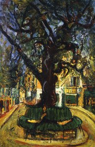 The Tree in Vence