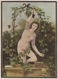 Woman picking grapes from a vine