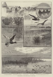 Duck-Shooting at Long Point Island, on Lake Erie (engraving)