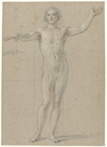Standing Male Nude