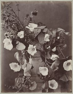 Flower Study with Cologne Pot by Charles Aubry (manner of)
