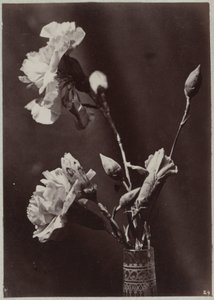Flower Study with Glass Vase