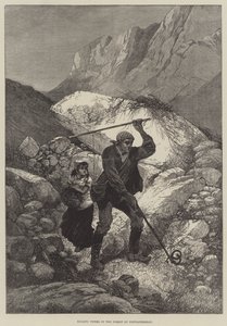 Killing Vipers in the Forest of Fontainebleau