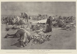 The Advance towards Dongola, Halt! Who Goes There