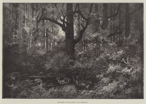 The Heart of the Forest