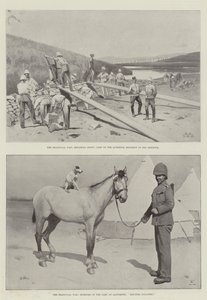 The Transvaal War