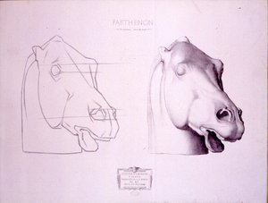 Horse Head from the West Pediment of the Parthenon, Plate 47 from Cours de Dessin