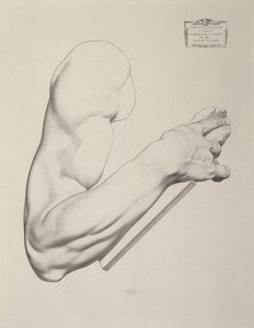 Impression on Gray Paper, 1868
