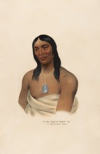 A-na-cam-e-gish-ca by Charles Bird King
