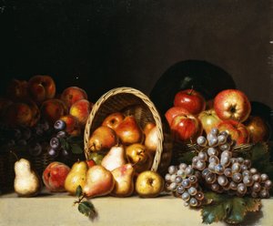 Apples, Pears, Plums and Grapes