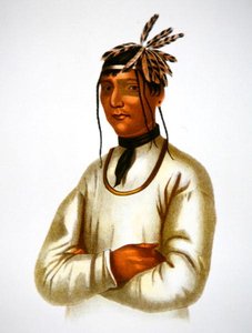 Caatousee of the Chippewa Tribe by Charles Bird King