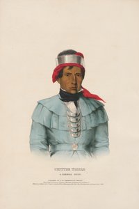 Chittee Yoholo - A Seminole Chief by Charles Bird King