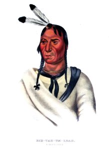 Eshtahumbah (Sleepy Eyes), a Sioux Chief