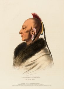 The Soldier of the Oak, an Osage Chief, from History of the Indian Tribes of North America by Charles Bird King