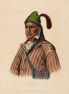 ME-NA-WA. A CREEK WARRIOR, from History of the Indian Tribes of North America