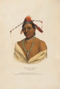 Mar-ko-me-te - A Menominee Brave by Charles Bird King