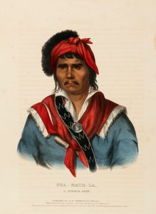 NEA-MATH-LA, A SEMINOLE CHIEF, from History of the Indian Tribes of North America