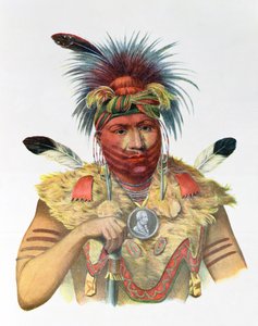 Ne-Sou-A-Quoit, a Fox Chief, Illustration from 