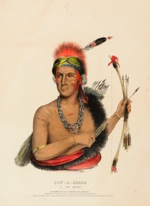 POW-A-SHEEK. A FOX CHIEF by Charles Bird King