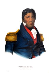 Pushmataha, a Choctaw Warrior