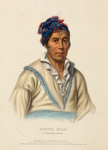 Spring Frog, a Cherokee Chief, from History of the Indian Tribes of North America by Charles Bird King