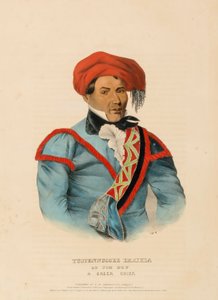 TUSTENNUGGEE EMATHLA, from History of the Indian Tribes of North America