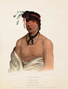 Wesh-Cubb, a Chippeway Chief, from History of the Indian Tribes of North America