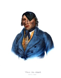 Waapashaw, a Sioux Chief by Charles Bird King