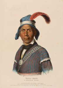 YAHA-HAJO, a Seminole Chief, from History of the Indian Tribes of North America