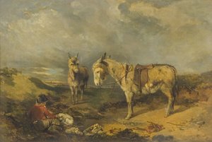 Two Donkeys