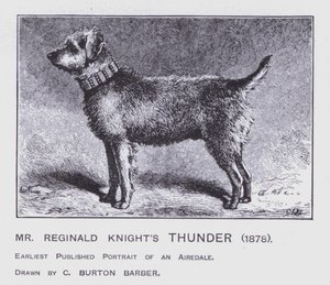 Mr Reginald Knight