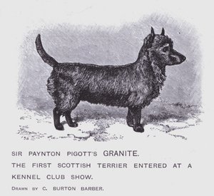 Sir Paynton Pigott