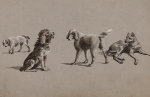 Studies of Dogs by Charles Cooper Henderson