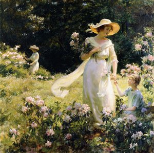 Among the Laurel Blossoms