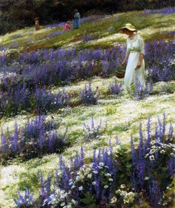 On a Hill