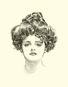 Illustration for The Social Ladder by Charles Dana Gibson