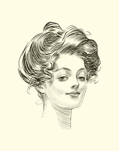 Illustration for The Social Ladder by Charles Dana Gibson
