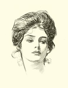 Illustration for The Social Ladder by Charles Dana Gibson
